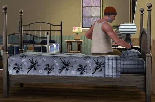 Sims 3, The - Бездомные Simsы. Часть вторая.