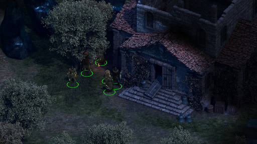 Pillars of Eternity - Прохождение сюжетной линии Pillars of Eternity. Акт I - Позолоченная Долина